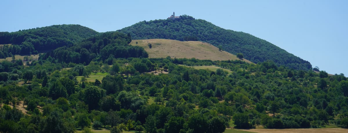 Blick über Streuobstwiesen auf die Teck mit der Burg Teck auf dem bewaldeten Bergrücken